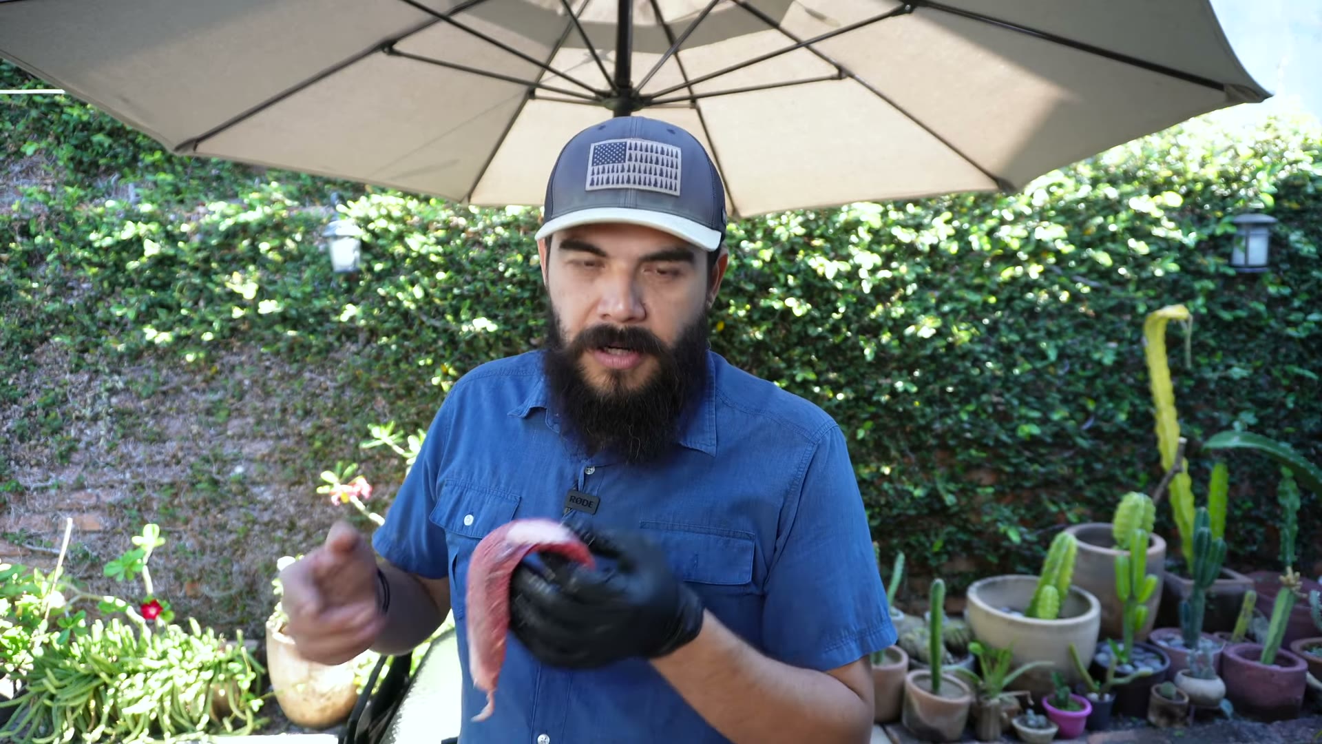 Moliendo los recortes de brisket para hamburguesas