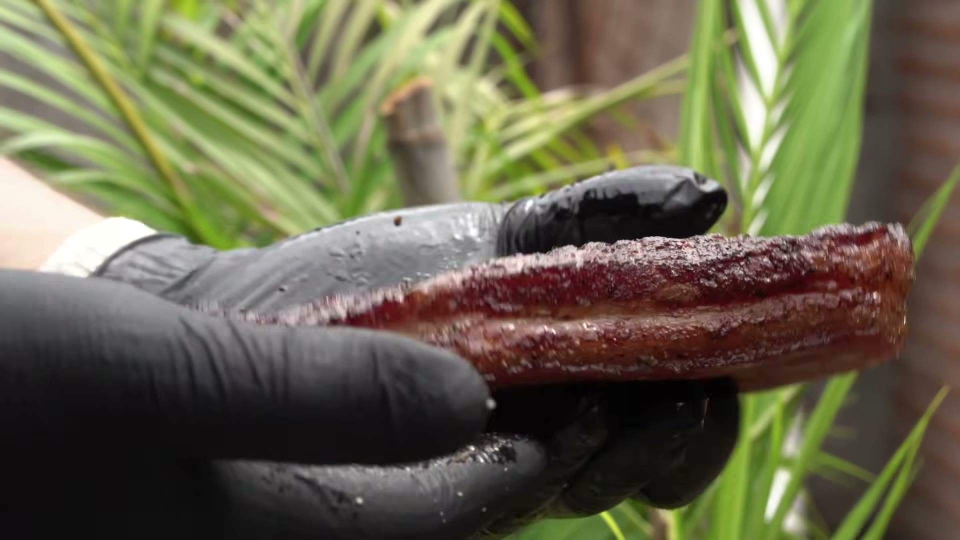 Pork belly en el ahumador con la costra de sal formada